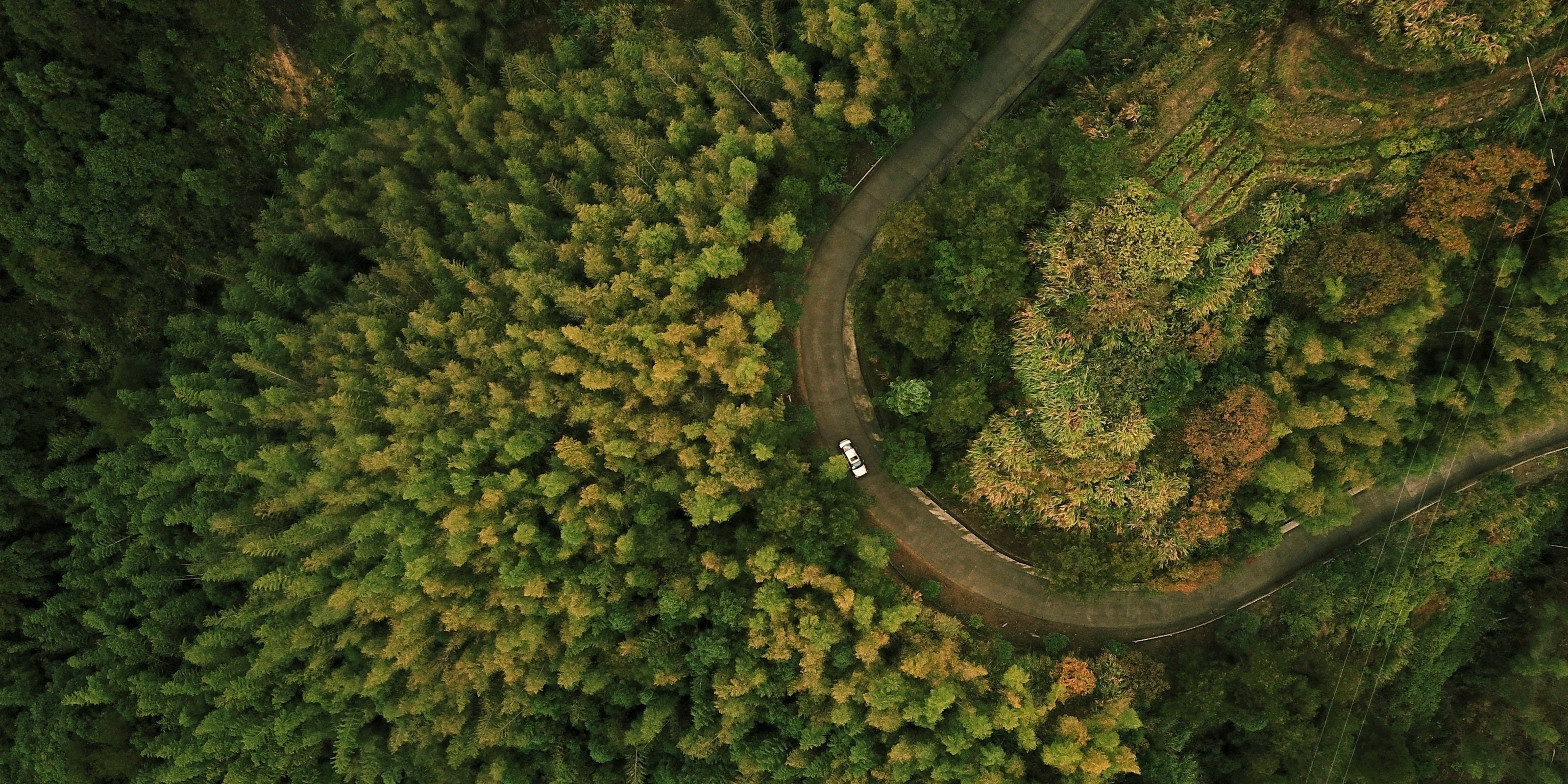 Official 12km Transmission vs Real 2km: Skyrover X1 Data-Driven Flight Range Debate